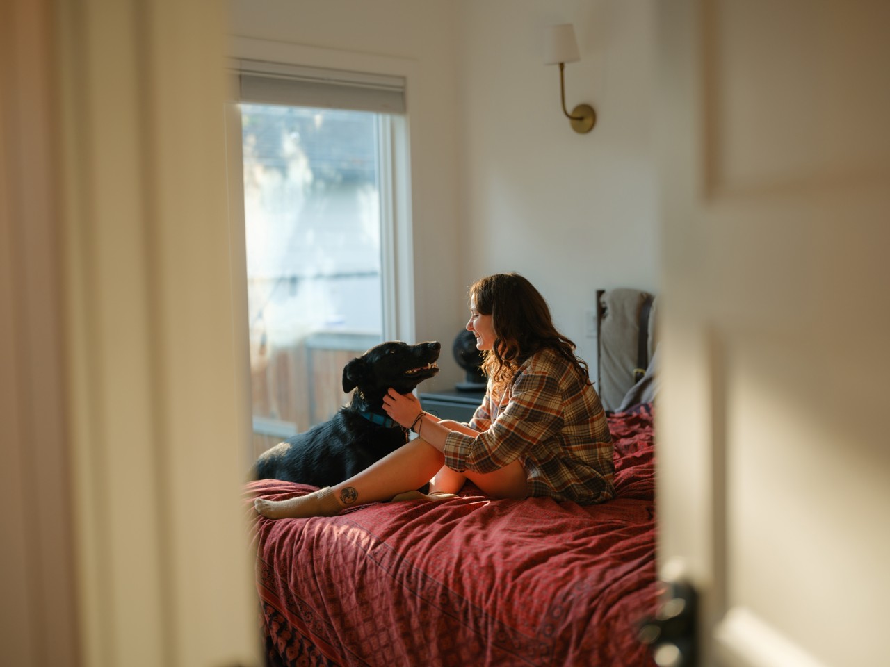 Person happily petting dog in the bedroom.